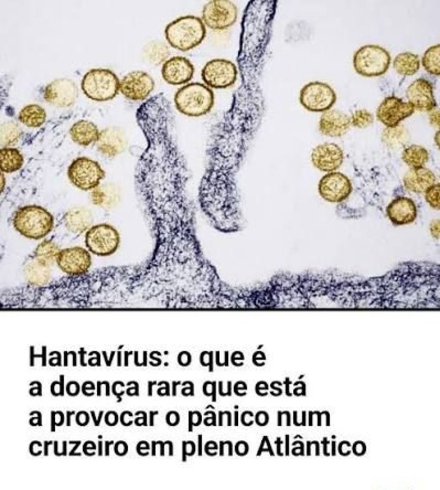 OMS PROCURA MAIS DE 80 PASSAGEIROS APÓS CASO HANTAVÍRUS EM VOO INTERNACIONAL